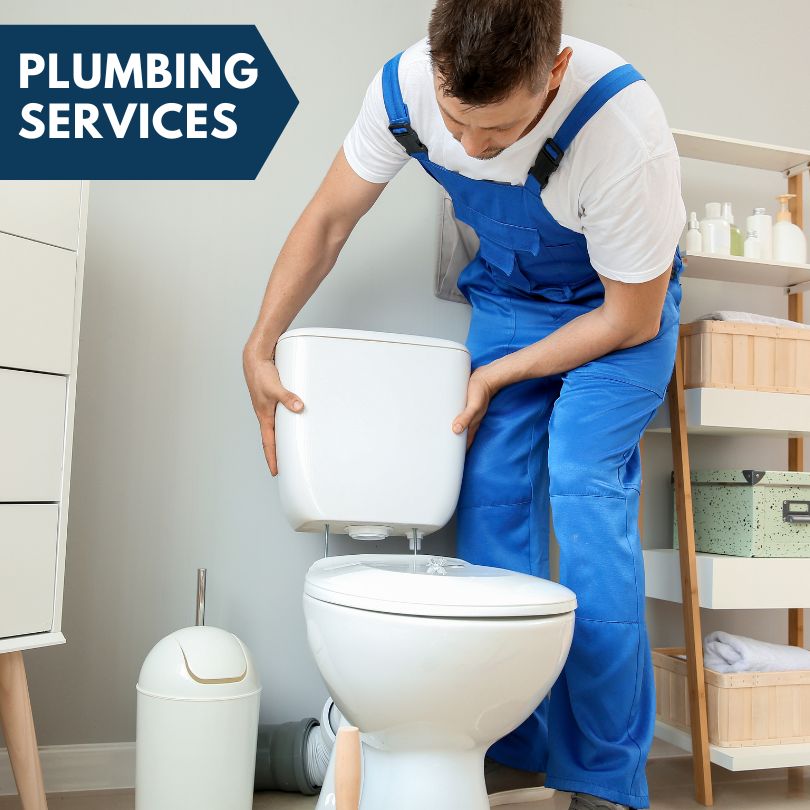 Plumbing Company in Mount Dora, FL